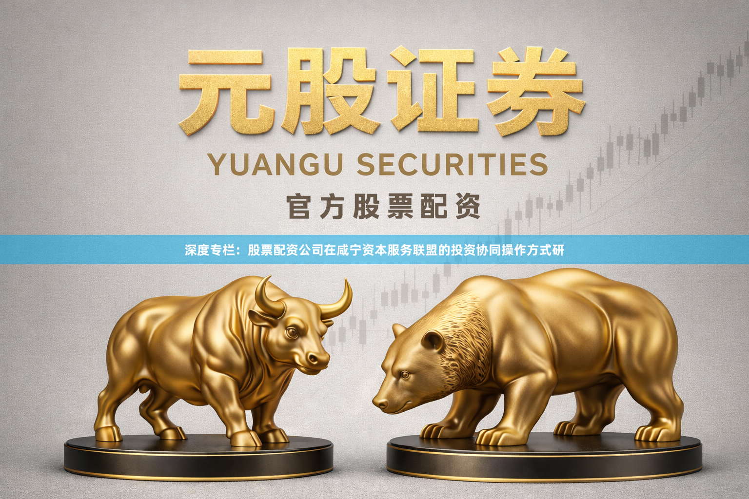 深度专栏：股票配资公司在咸宁资本服务联盟的投资协同操作方式研